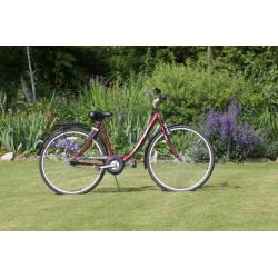 Bicycle - Probike Discovery - As New