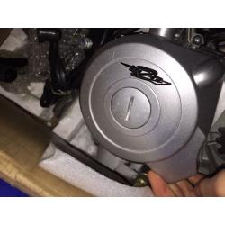 Pitbike engine