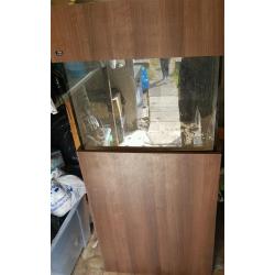 ND Aquatics aquarium