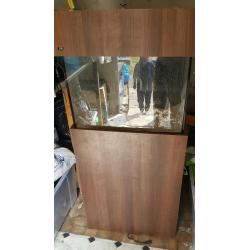 ND Aquatics aquarium