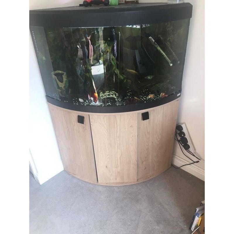 Fluval 190 litre corner tank **COMPLETE SET UP**