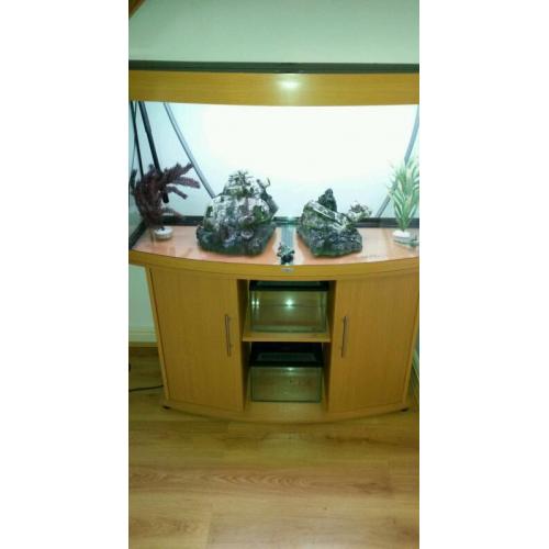 FLUVAL JEWEL BOW FRONTED 260LTR FISH TANK AND STAND IN BEACH
