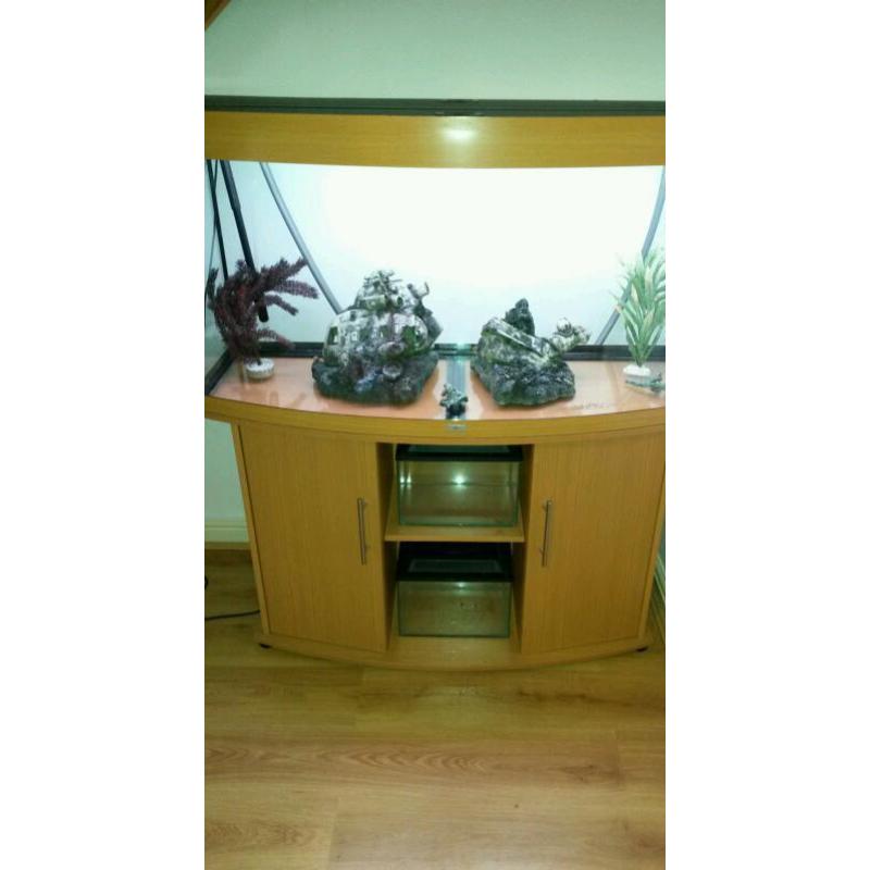 FLUVAL JEWEL BOW FRONTED 260LTR FISH TANK AND STAND IN BEACH
