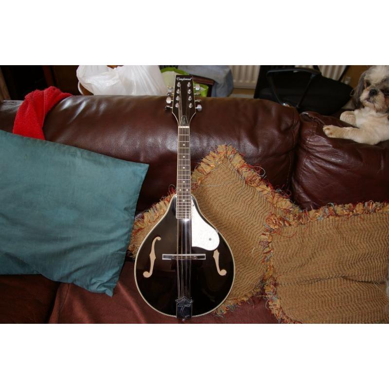 Mandolin