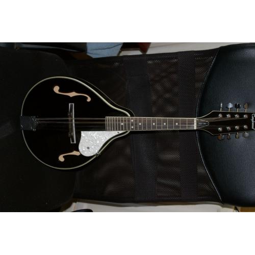 Mandolin