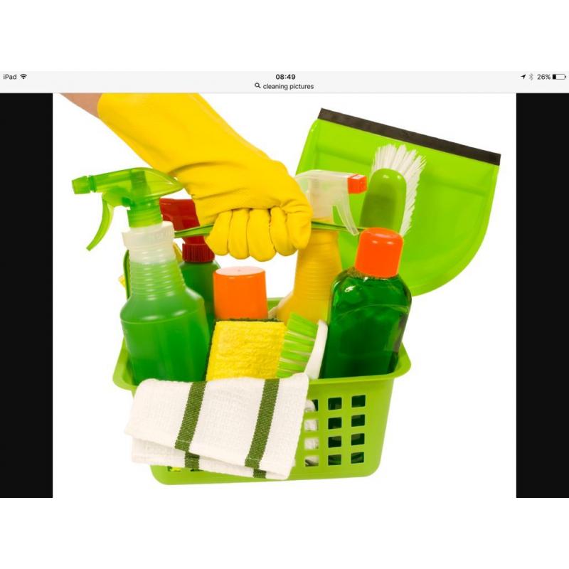 Janes domestic cleaning services