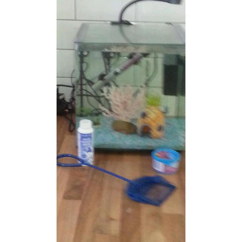 Fish tank and accessories