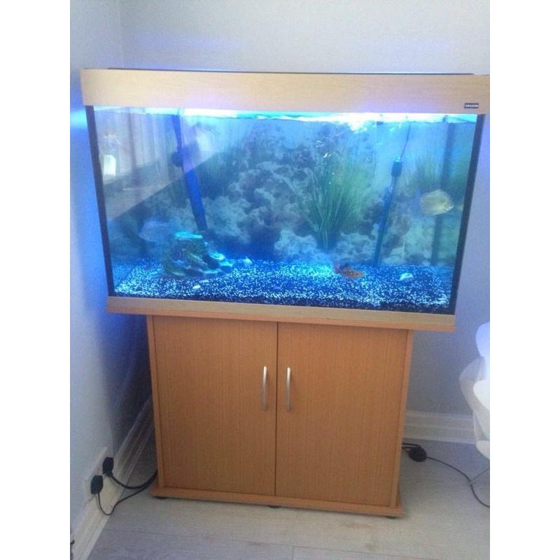 180 litre fish tank with accessories