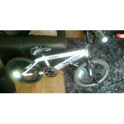 Big daddy stunt bmx
