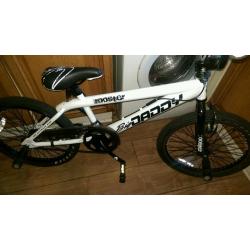 Big daddy stunt bmx