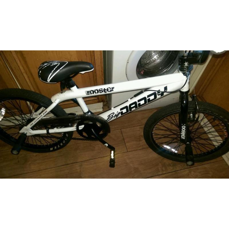 Big daddy stunt bmx
