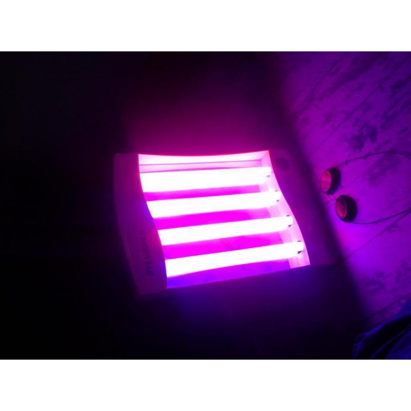 acne facial lamp