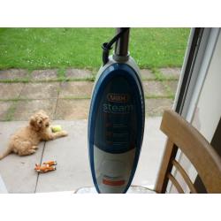 steam mop