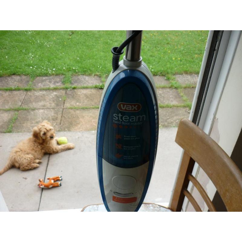 steam mop