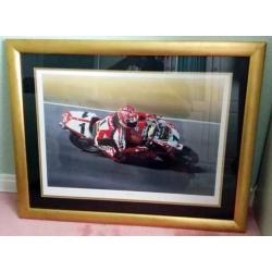 CARL "FOGGY" FOGARTY FRAMED PICTURES FOR SALE - KING CARL.