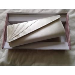 Rainbow Club Tess Satin Clutch Bag