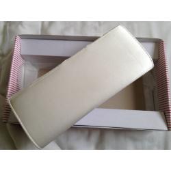 Rainbow Club Tess Satin Clutch Bag