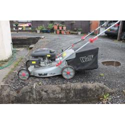 Wolf four stroke 5hp self propelled lawn mower excellent suit large lawn