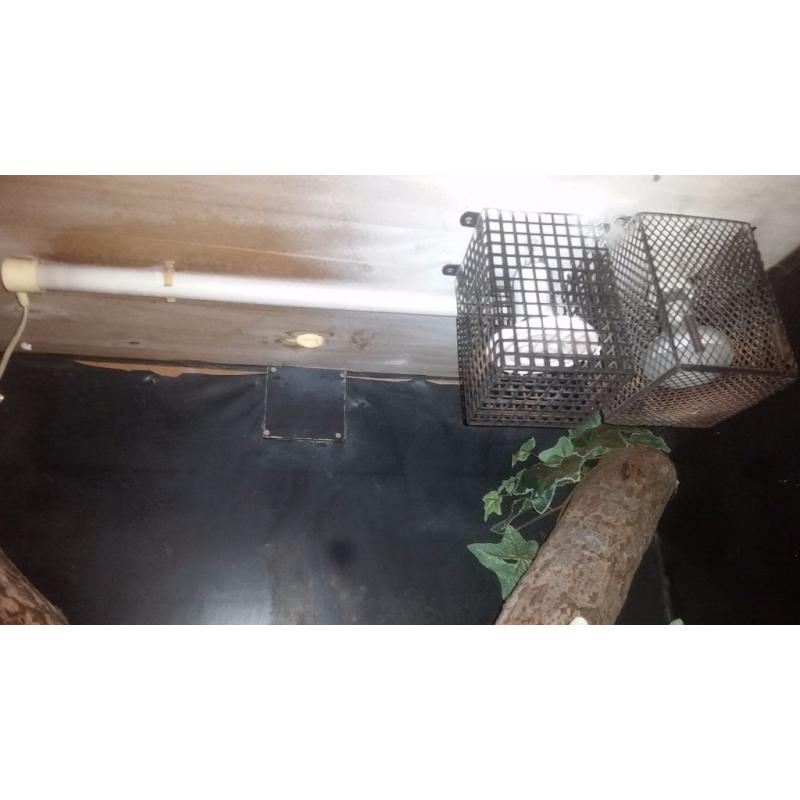 Large vivarium with bulbs and pump and filter for large water tank