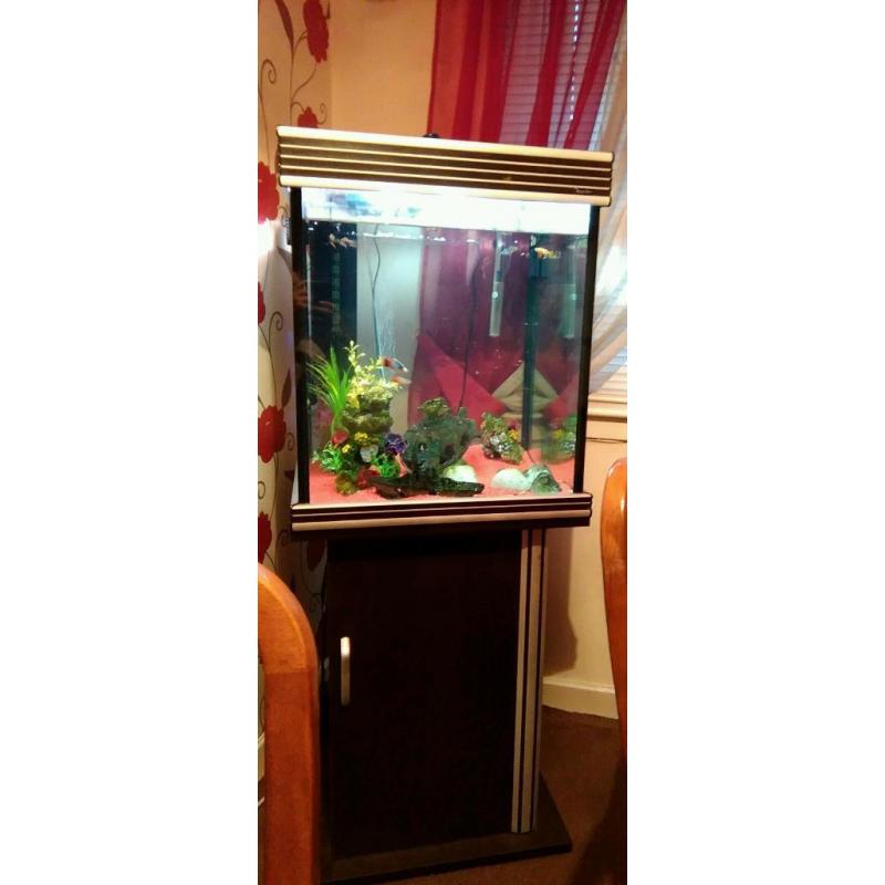 Fish tank for sale with stand