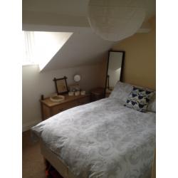 Share lease on 3 bed terrace in Bloomfield area. 2 housemates total sharing.