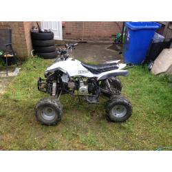 110 quad auto