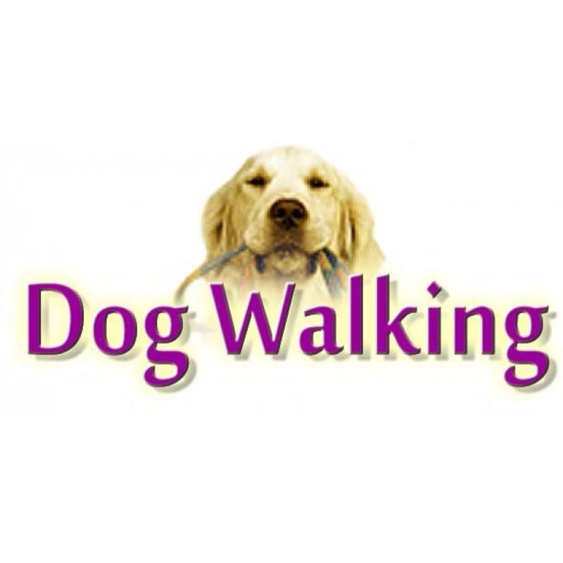 Dog walking services ramsey