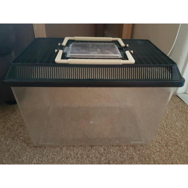Small Reptile Transport Tank