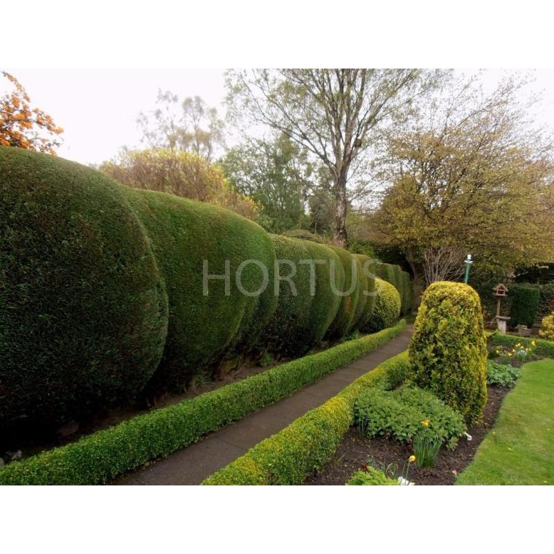 YOUR GARDEN NEEDS ME , fencing , hedge cutting , tree services , turf, decking ,paving