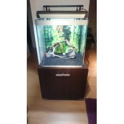 FLUVAL 155 LITER FISH TANK FOR SALE FULL SET UP,,