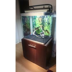FLUVAL 155 LITER FISH TANK FOR SALE FULL SET UP,,