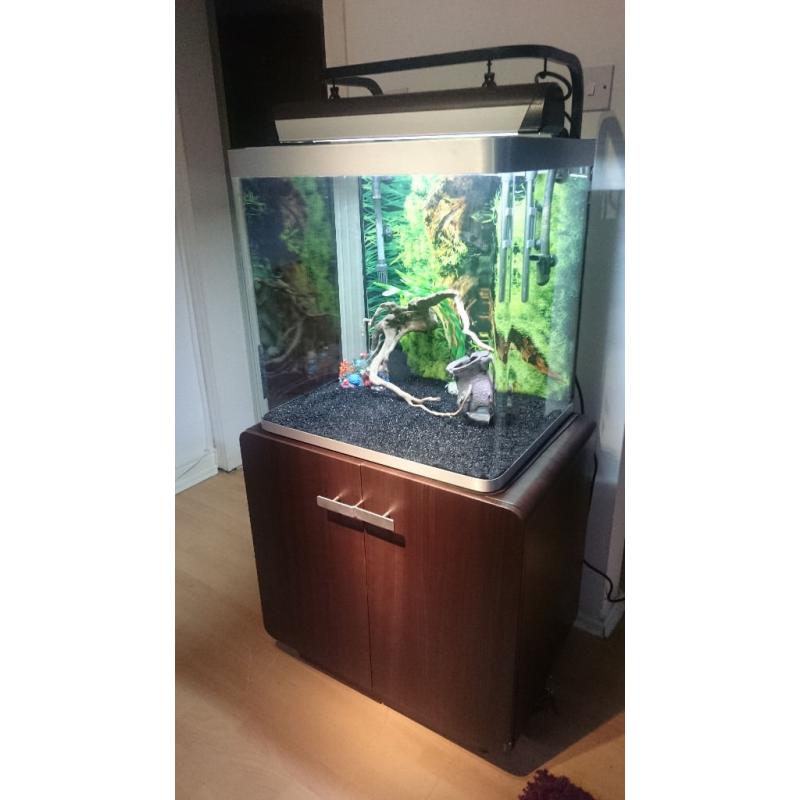 FLUVAL 155 LITER FISH TANK FOR SALE FULL SET UP,,