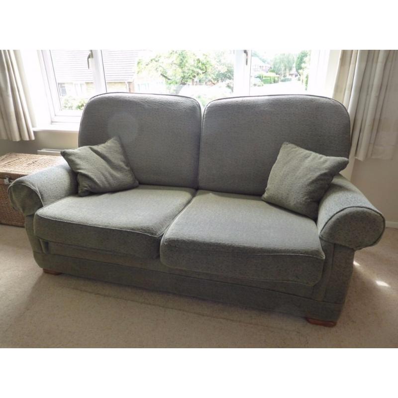 Pair of high quality Sofa Workshop sofas - 2 seat and 3 seat