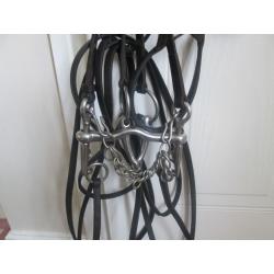 English leather double bridle with two bits