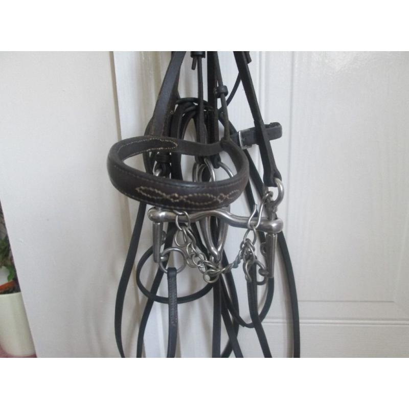 English leather double bridle with two bits