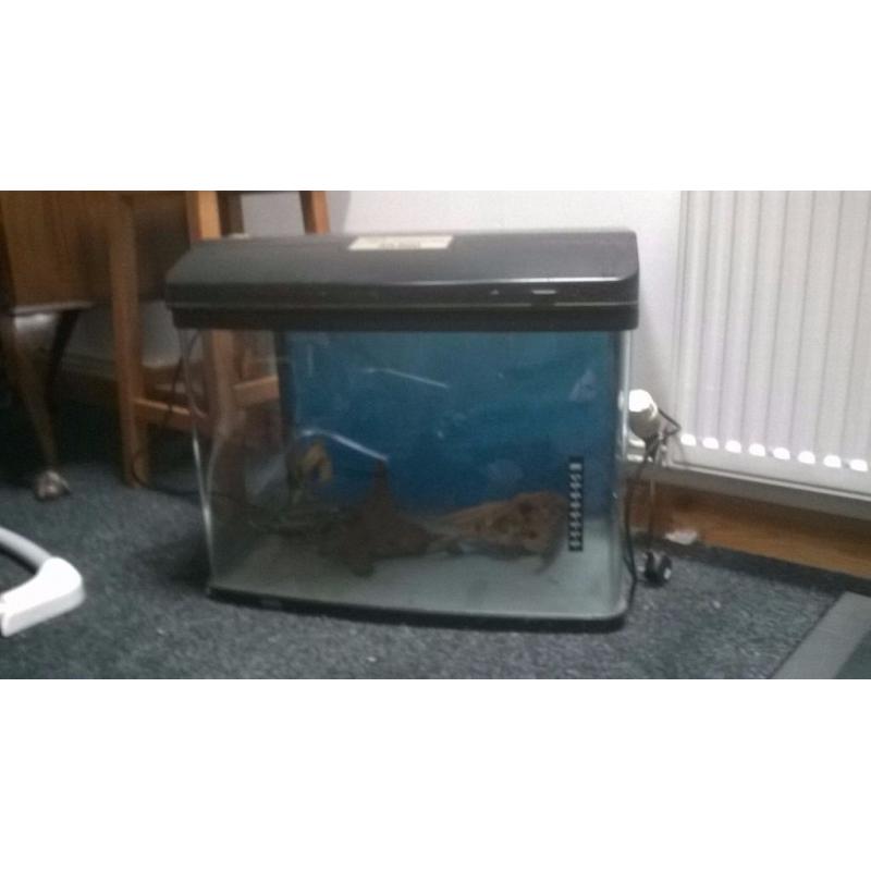 Fish Tank