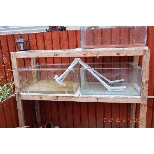 fish breeding rack