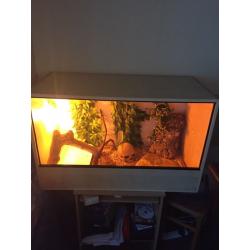 Vivarium, very cheap!!
