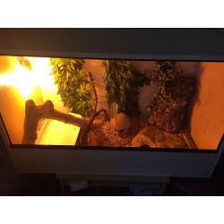 Vivarium, very cheap!!