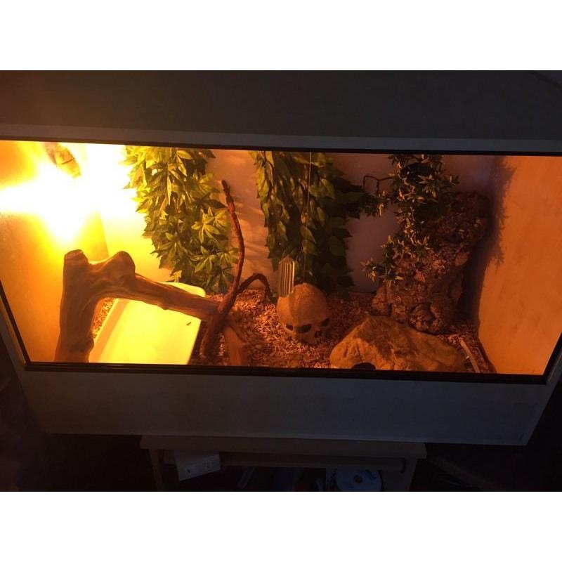 Vivarium, very cheap!!