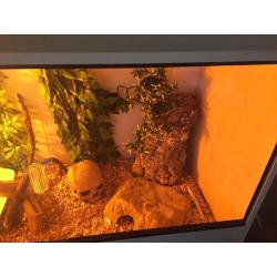 Vivarium, very cheap!!