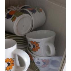 Royal Tudor Spring Time Retro Coffee set
