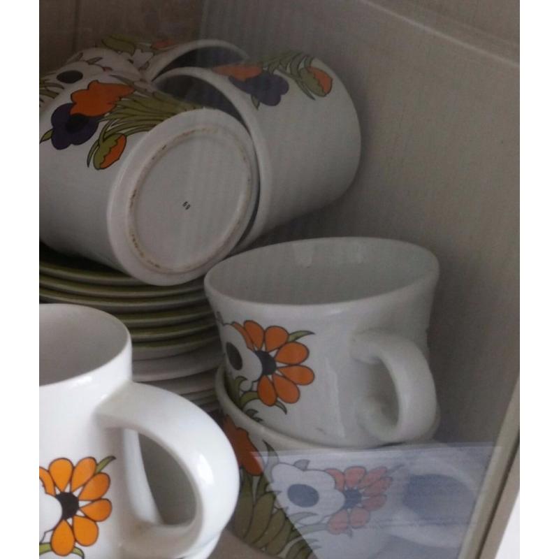 Royal Tudor Spring Time Retro Coffee set