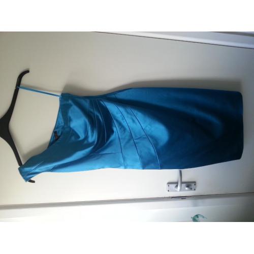 Coast Dress size 10