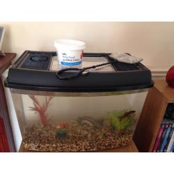 Gold fish and tank