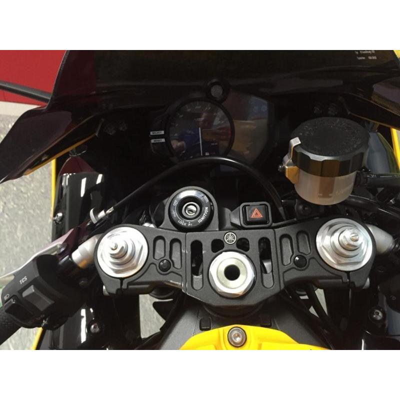 Yamaha YZF-R1 2015