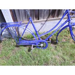Raleigh caprice frame