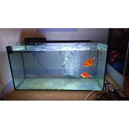 90 Litre Fish Tank
