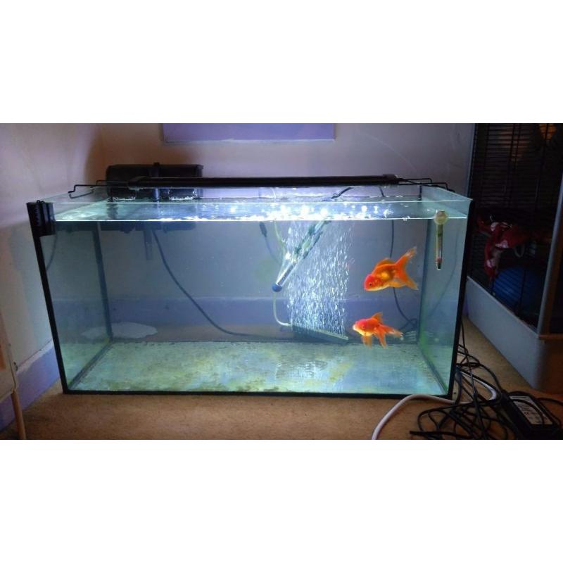 90 Litre Fish Tank