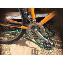 Python bite mountain bike